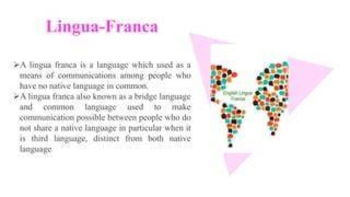 What lingua means